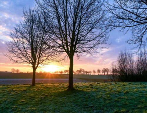 Reconnection dag-retreat voor vrouwen.
